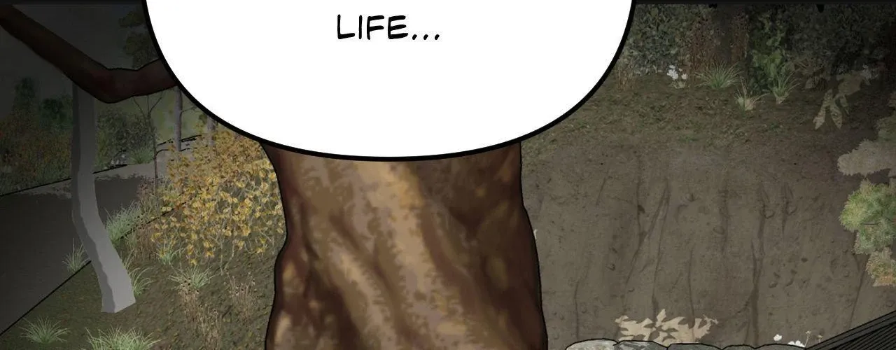 Page 335