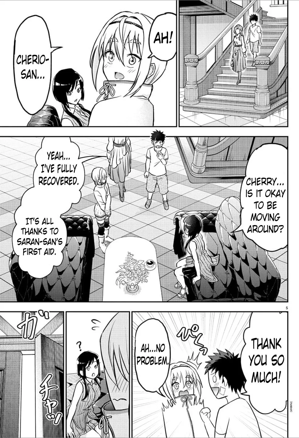 Page 5