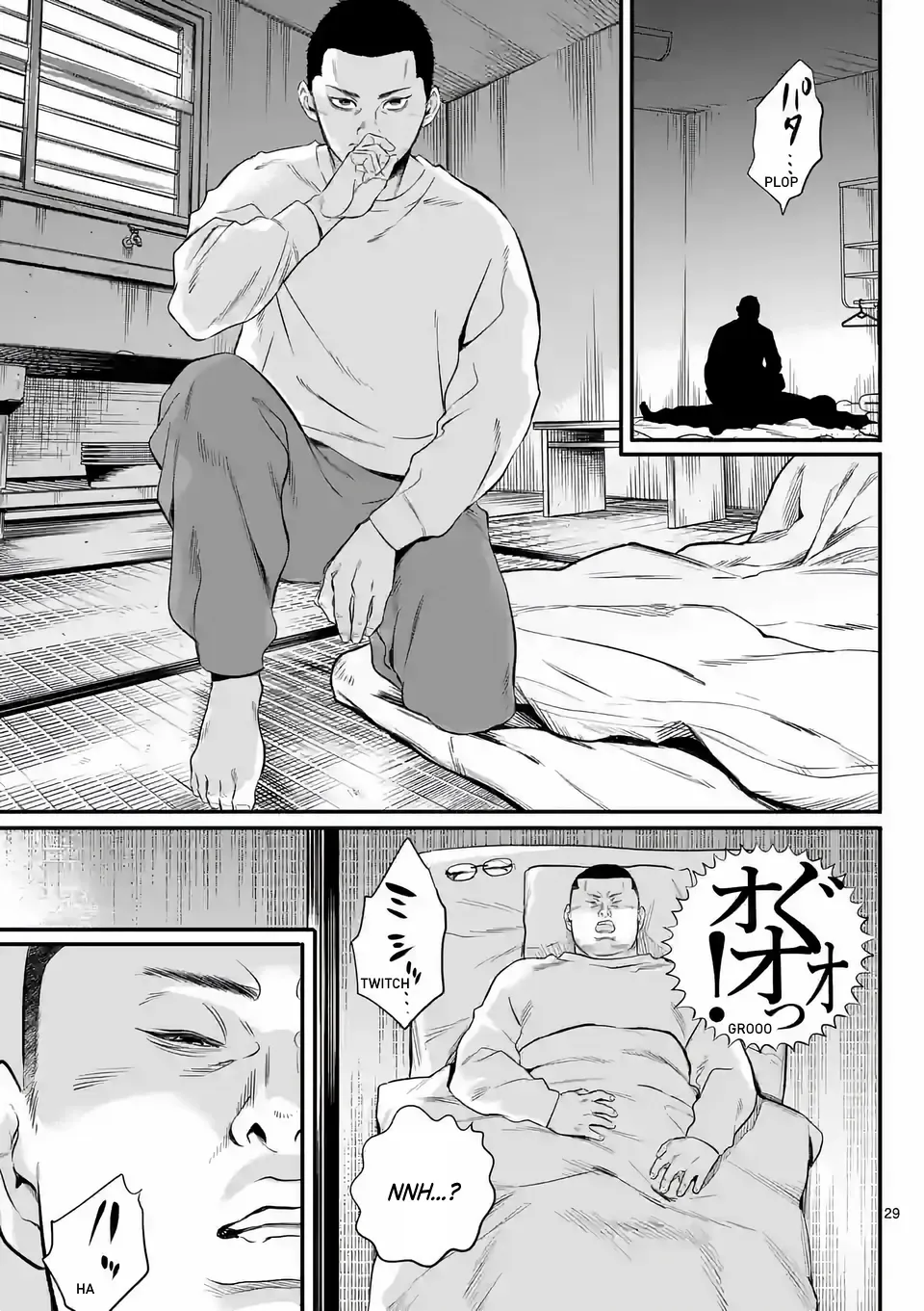 Page 29
