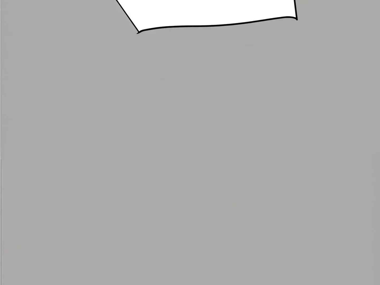 Page 306