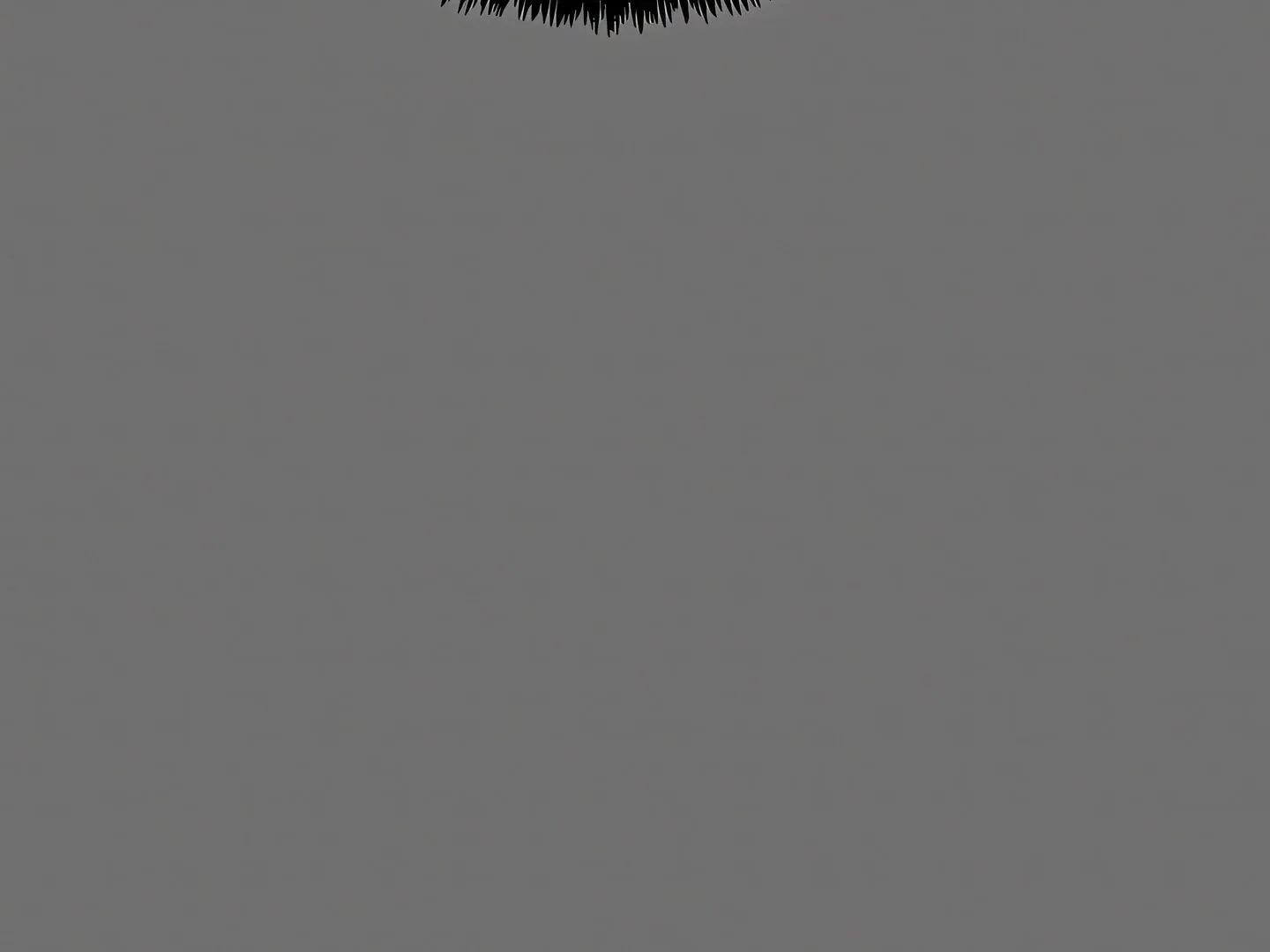Page 313