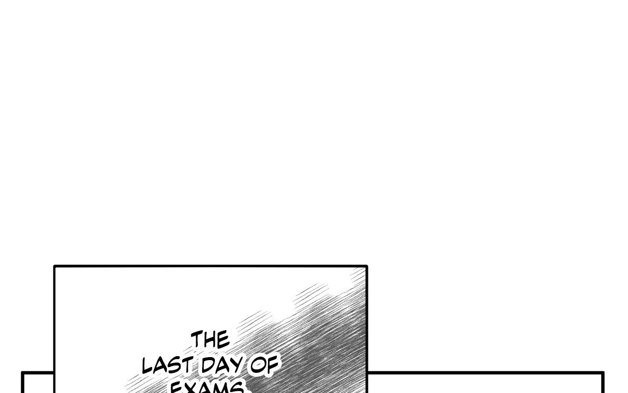 Page 242