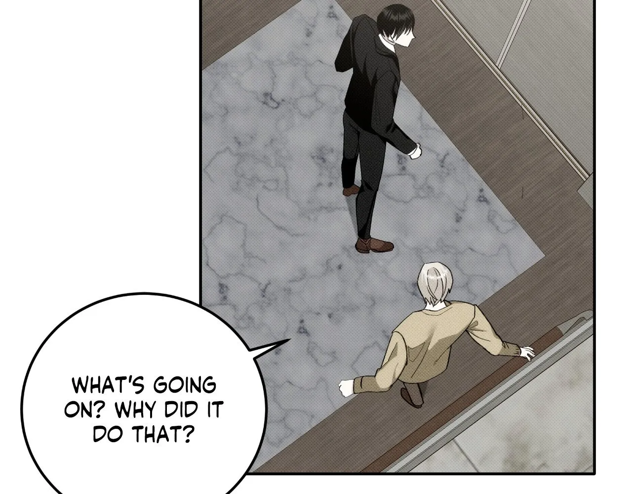 Page 111