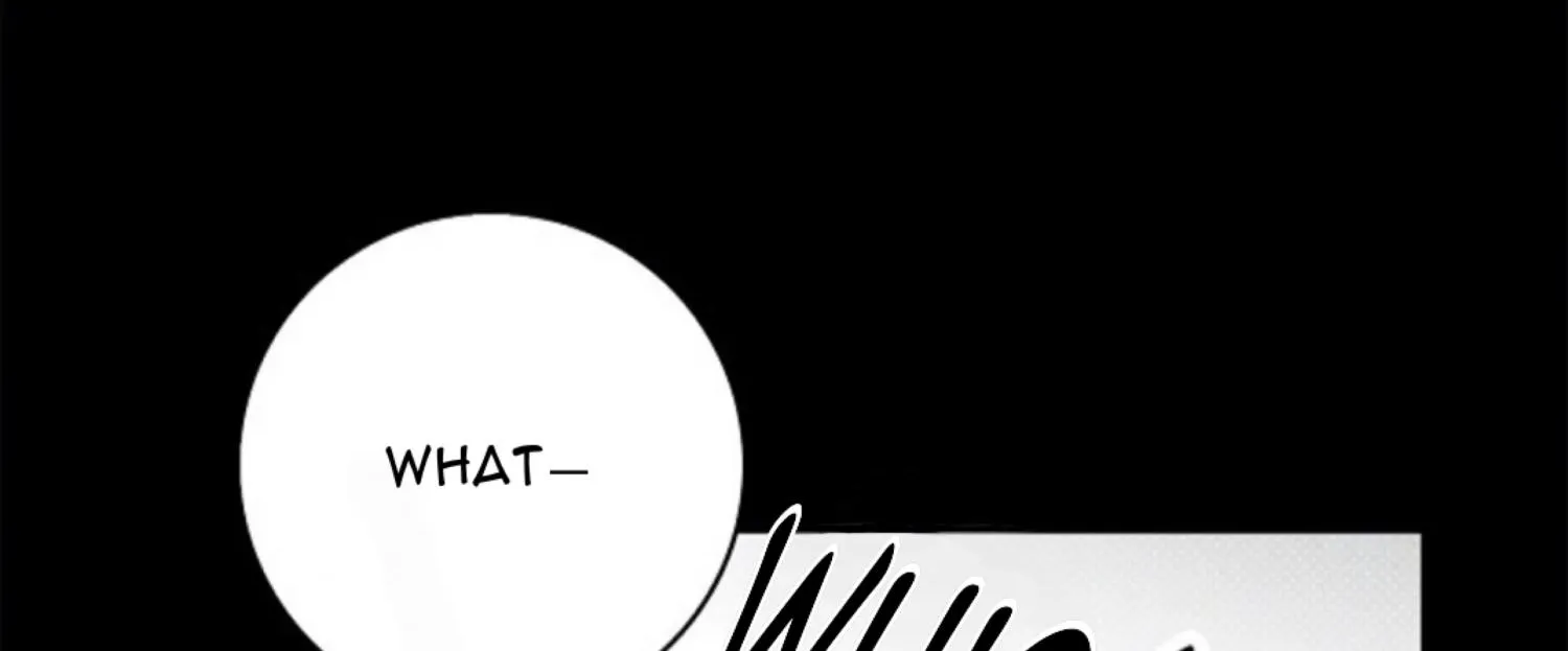 Page 217