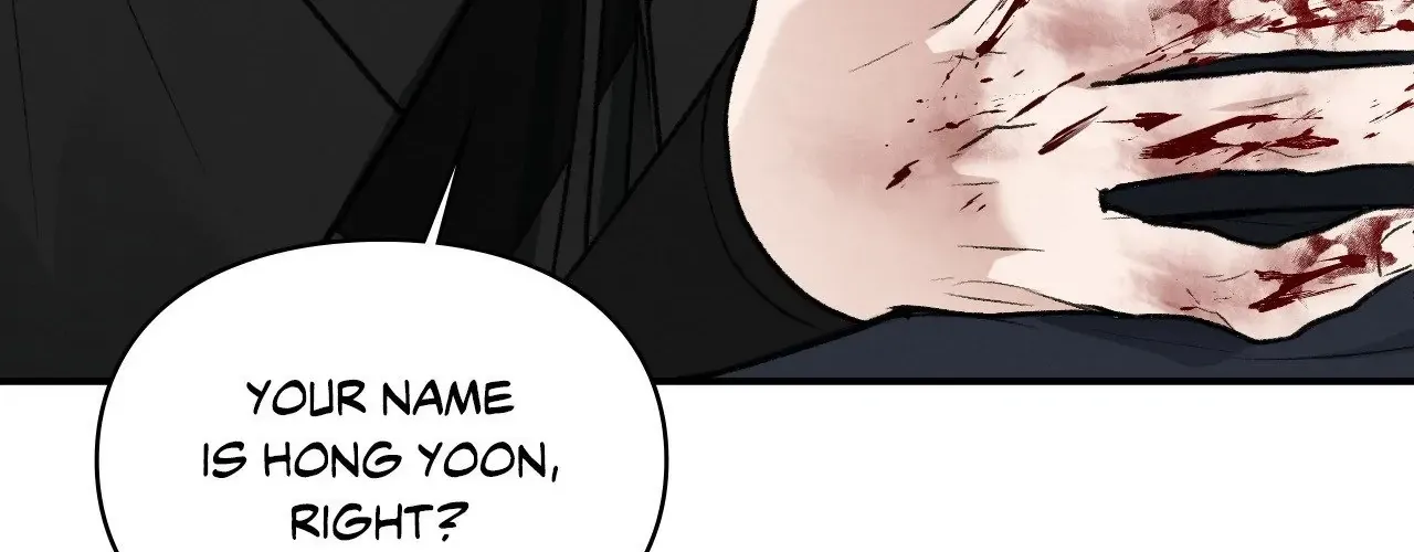 Page 241