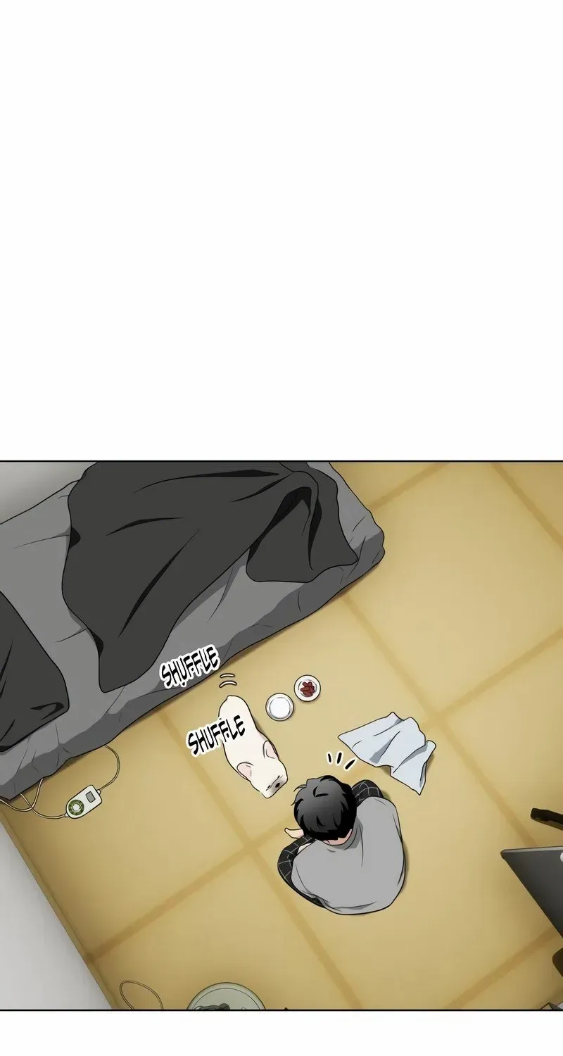 Page 231