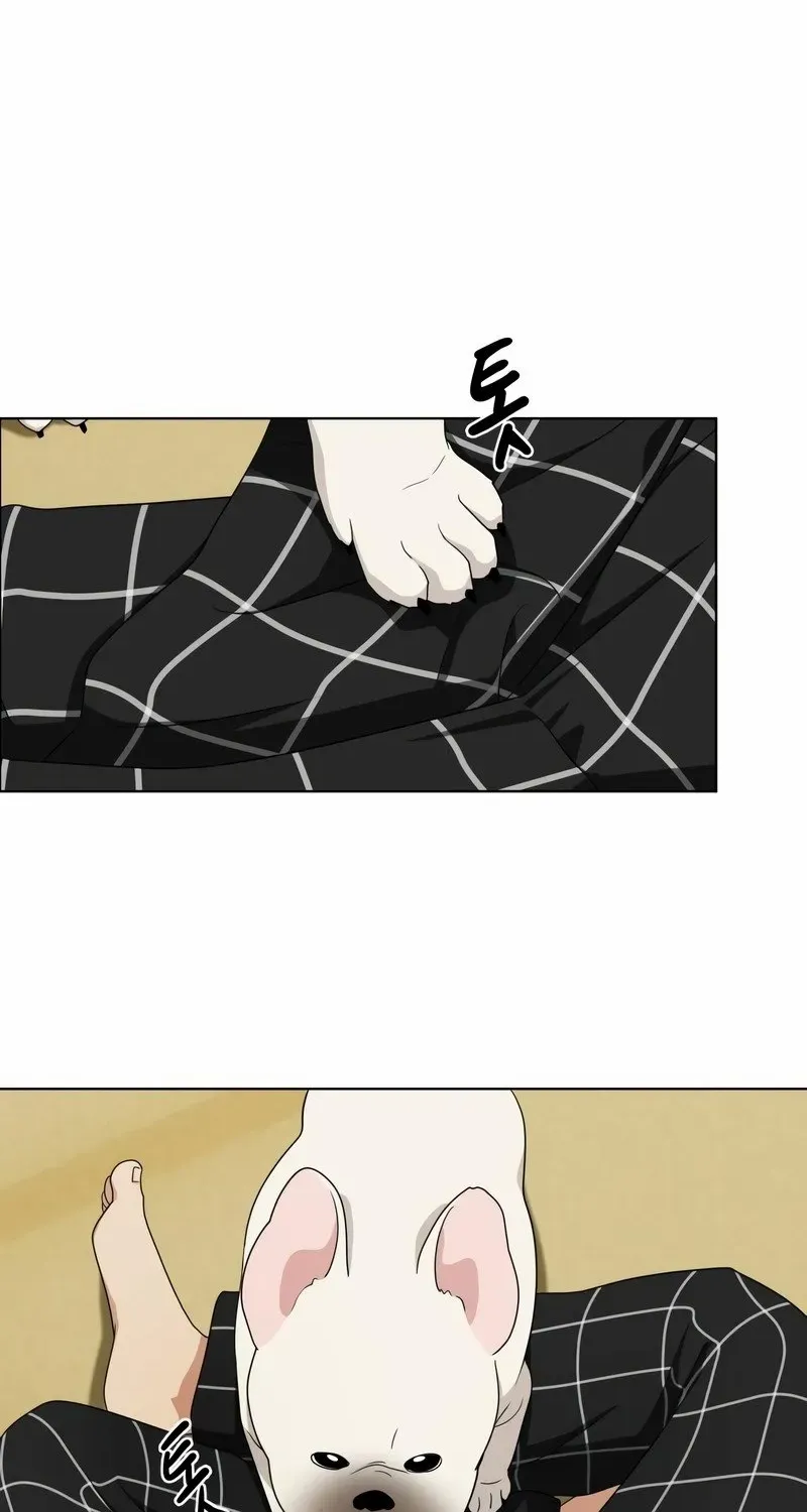 Page 232