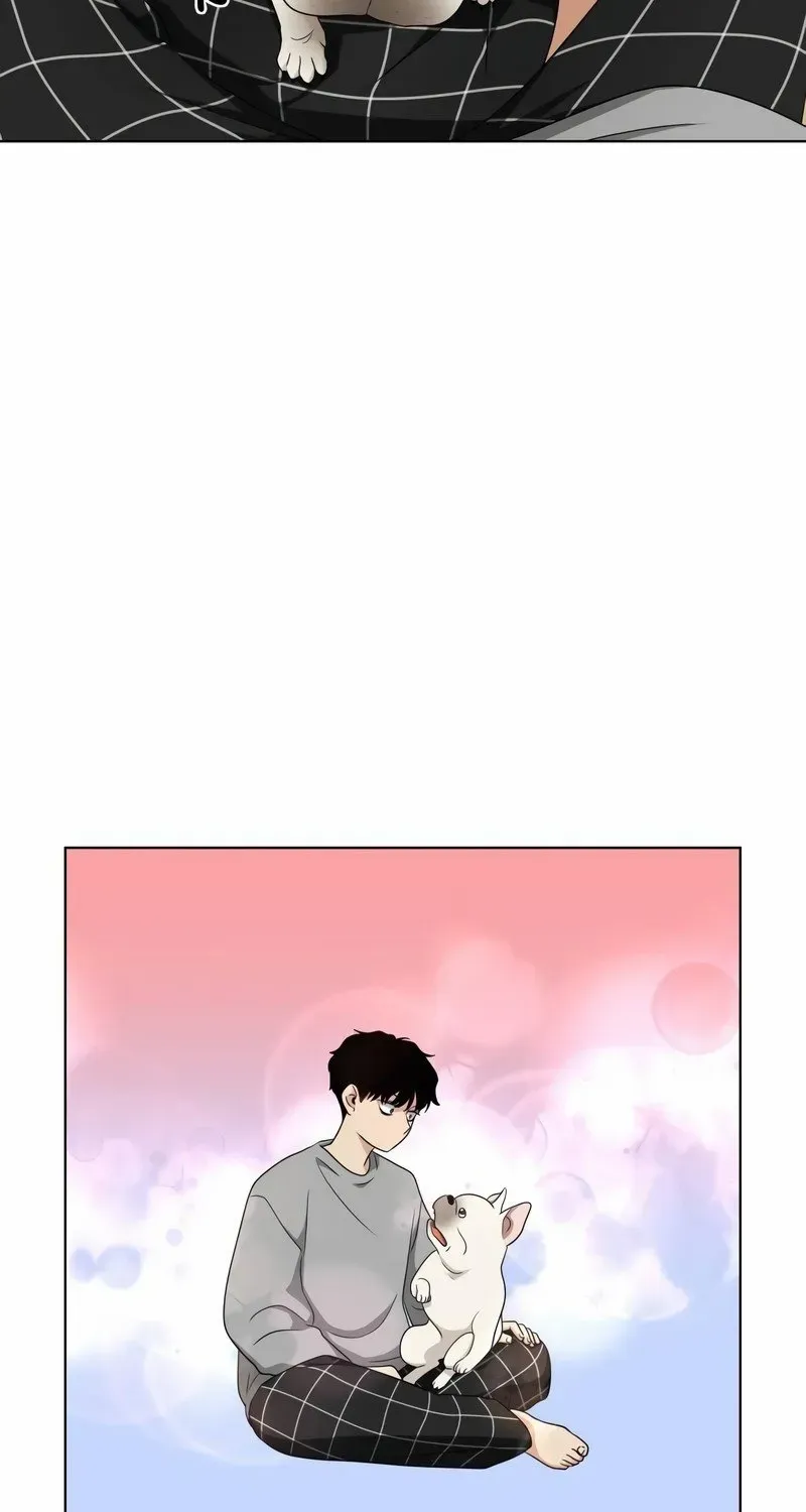 Page 233