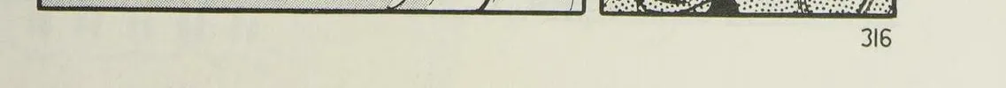 Page 300