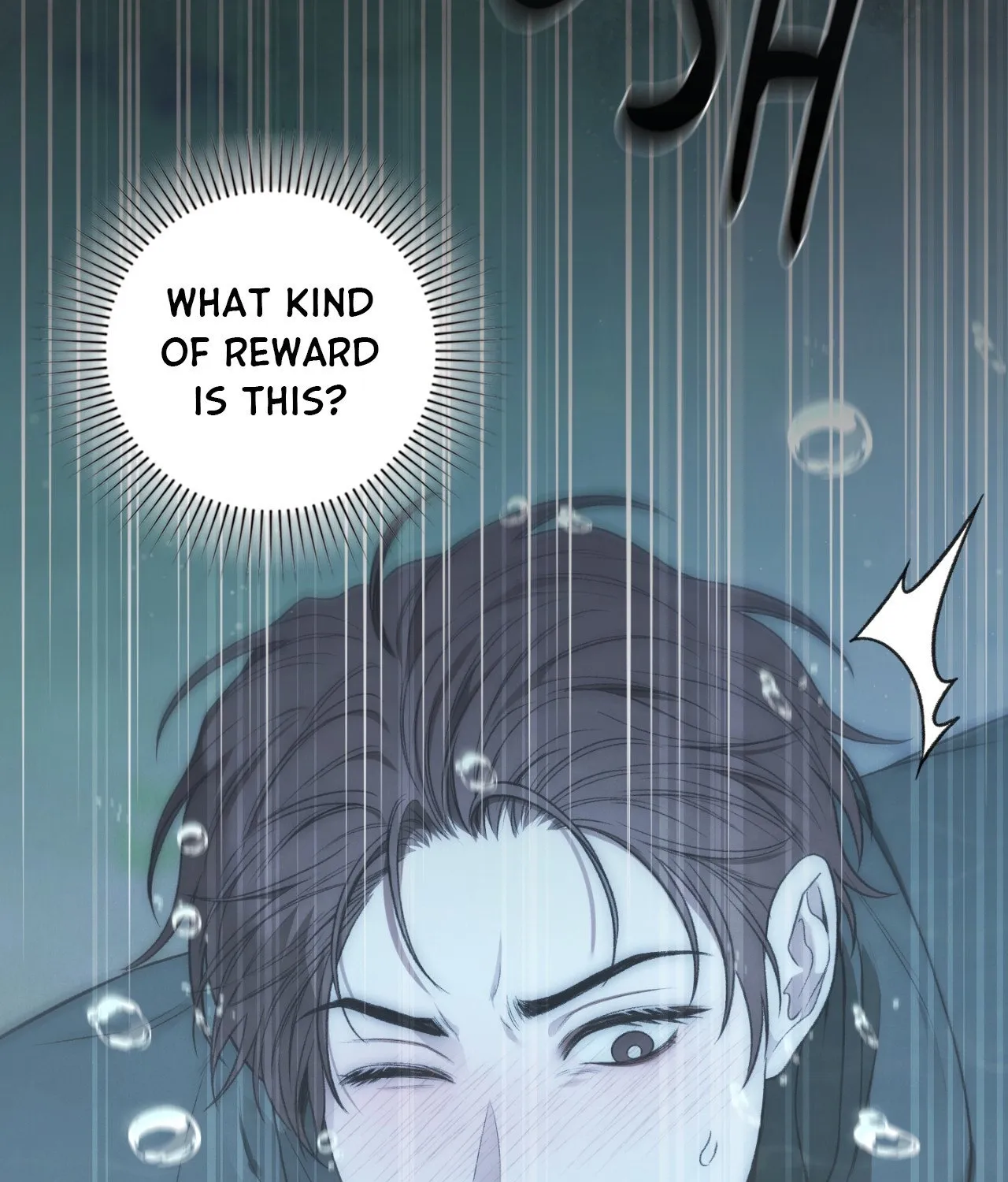 Page 333