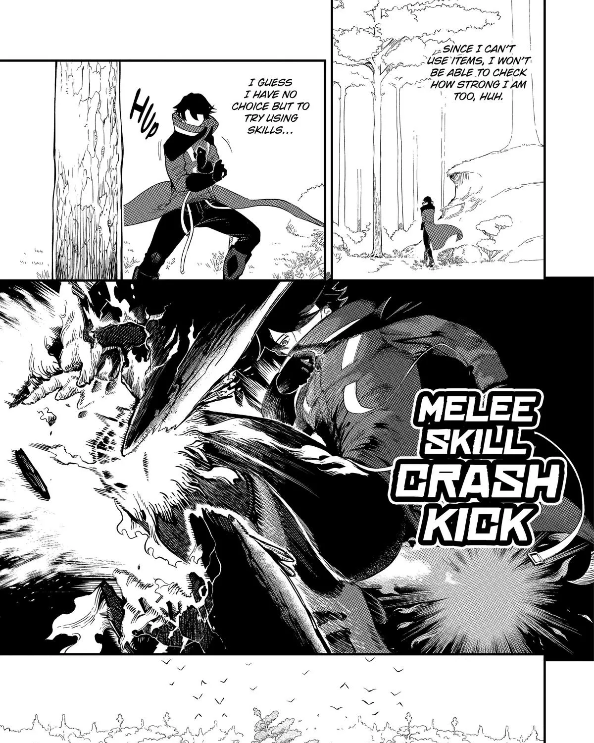 Page 113