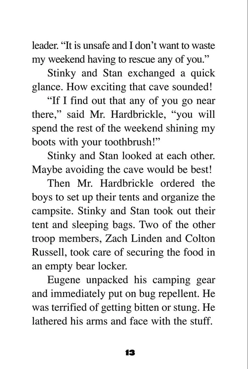 Page 13