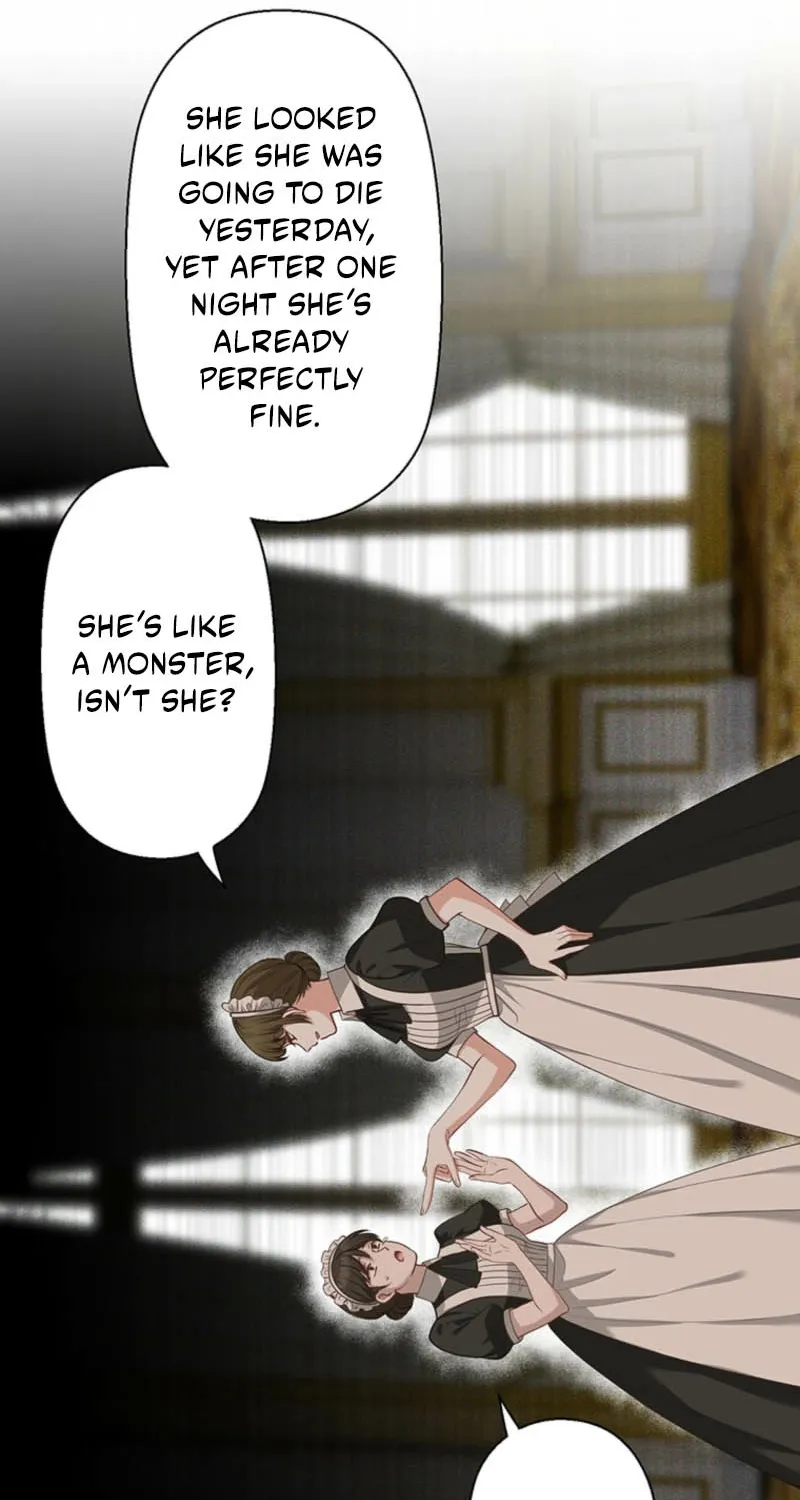 Page 244
