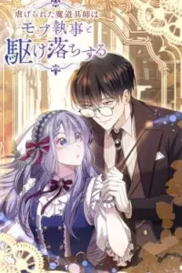 The Oppressed Magic Tool Maker Elopes With A Mob Servant