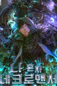 The Lone Necromancer