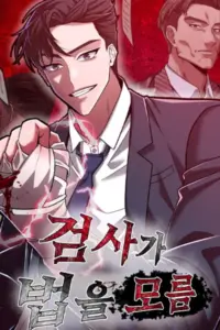 The Prosecutor Doesn’t Know The Law