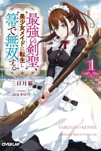 Sword Saint Reborn as a Maid, Ruling with a Broom.