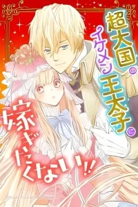 Chou Taikoku no Ikemen Outaishi ni Totsugitakunai!!