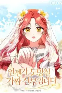 I’m A Fake Bride Who’ll Run Away Someday