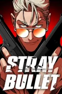 Stray Bullet